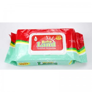 Wet Wipes / Baby  Wipes (OEM/ODM Manufacturer)